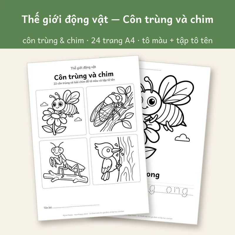 Thế giới động vật — Côn trùng và chim: 22 côn trùng và loài chim để tô màu và tập tô tên