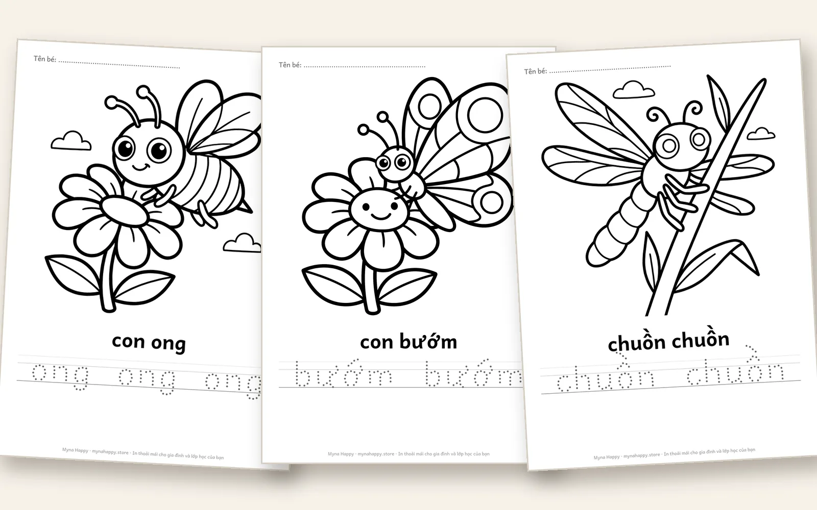 Thế giới động vật — Côn trùng và chim: 22 côn trùng và loài chim để tô màu và tập tô tên